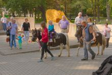 DSC_0591.jpg